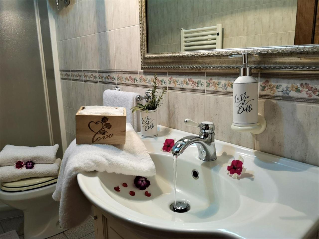 פיינצה Agriturismo Palazzo Conti - B מראה חיצוני תמונה