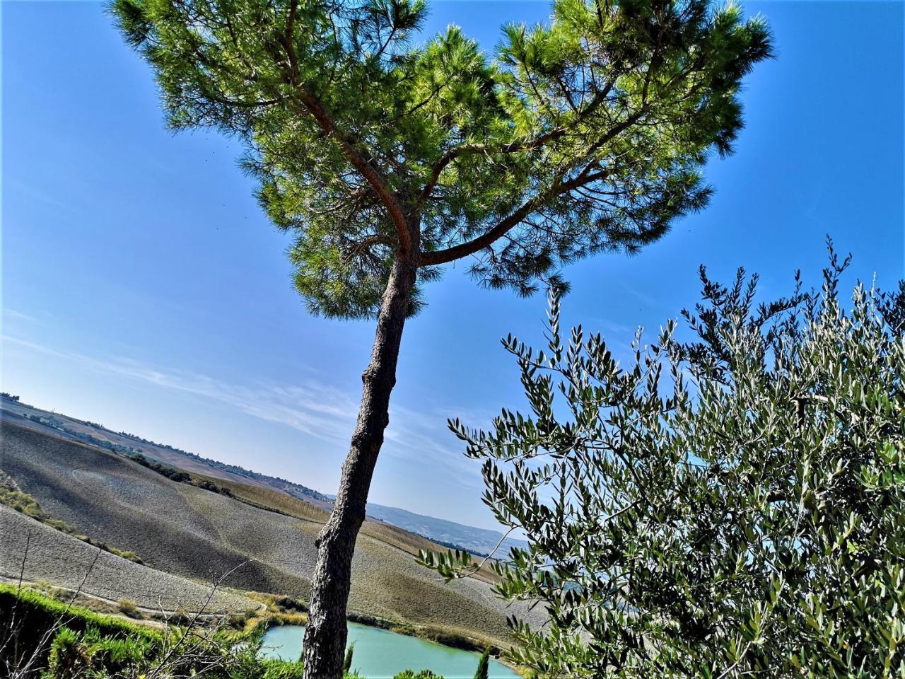 פיינצה Agriturismo Palazzo Conti - B מראה חיצוני תמונה