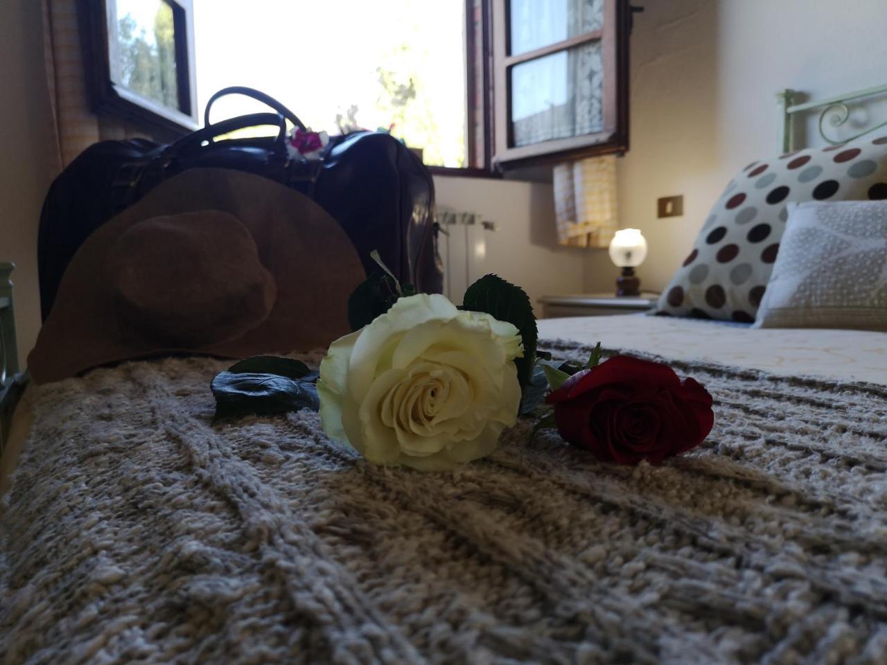 פיינצה Agriturismo Palazzo Conti - B מראה חיצוני תמונה