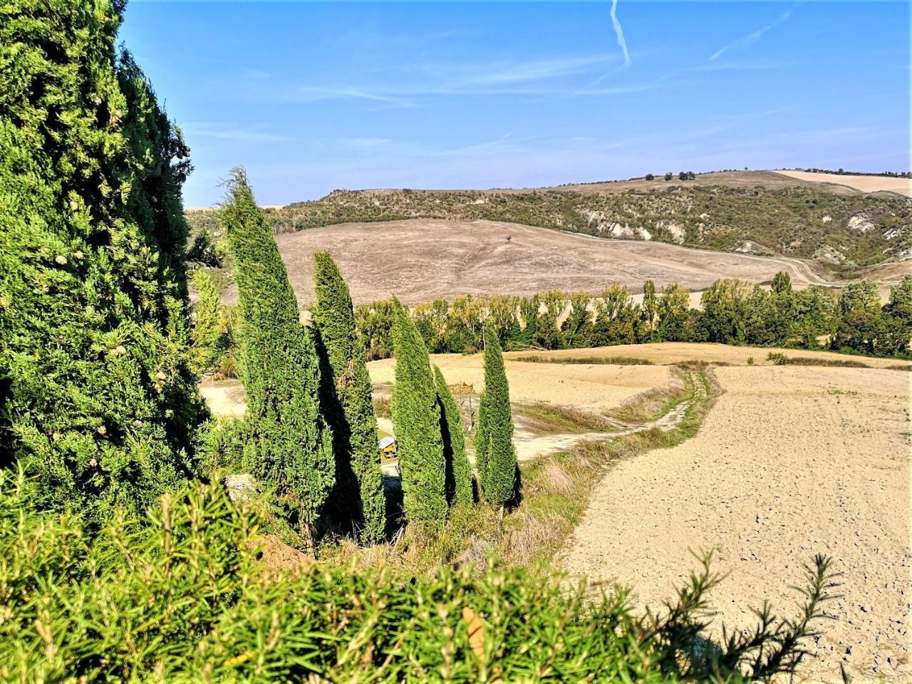 פיינצה Agriturismo Palazzo Conti - B מראה חיצוני תמונה